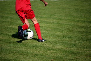 米兰体育app平台-校园足球教练培训体系现状与改革思路，校园足球师资培训