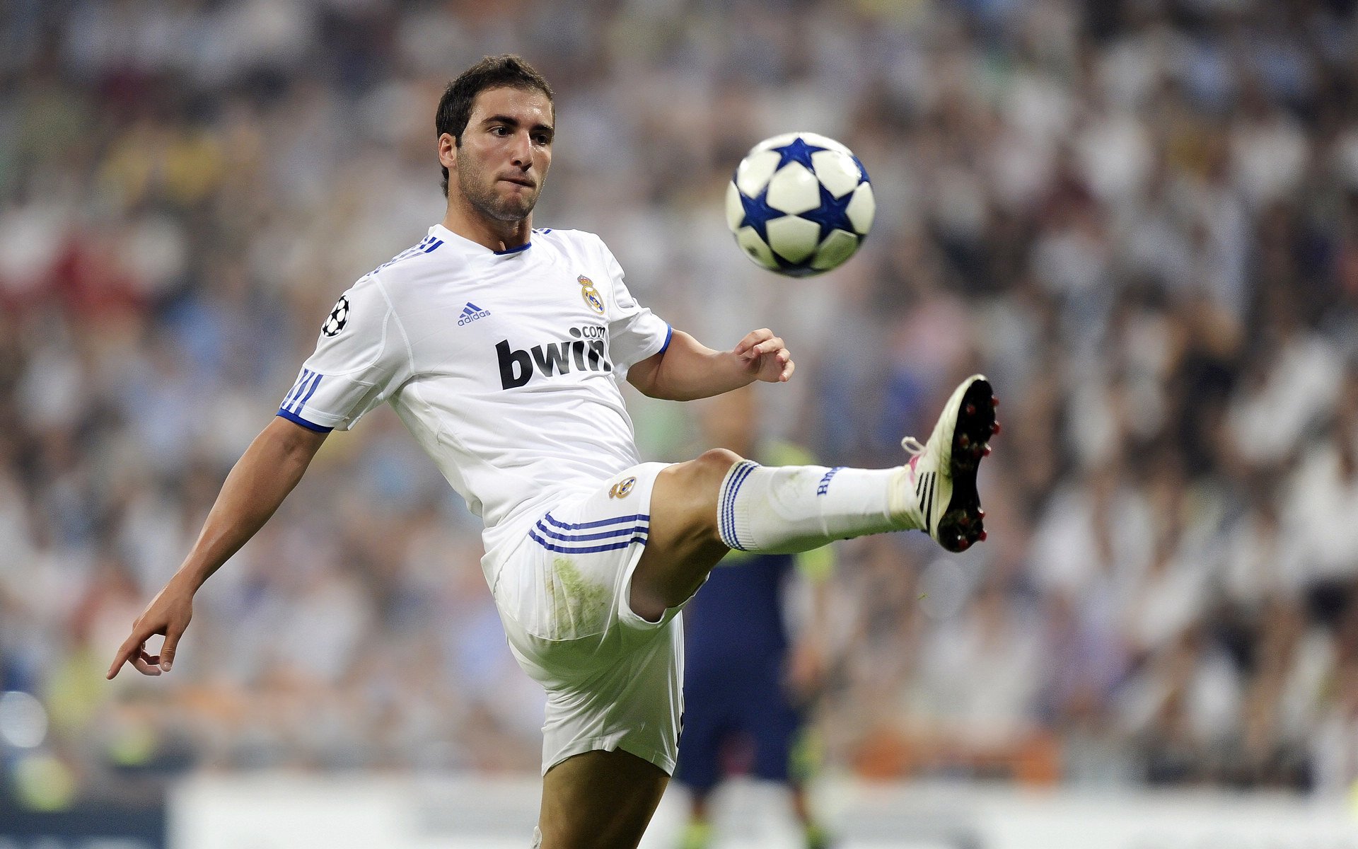 体育场馆建设全面升级